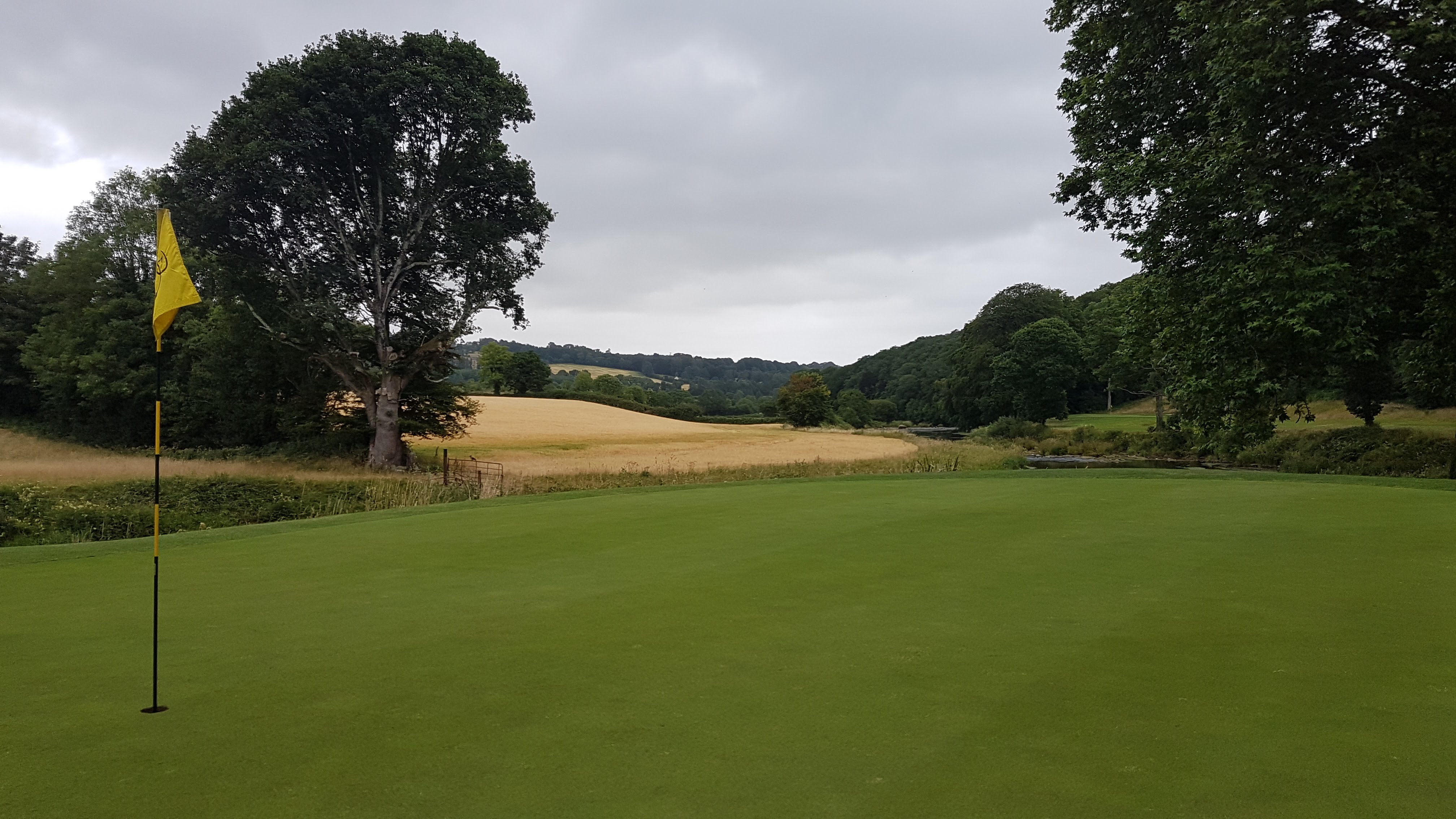 view of green with flag